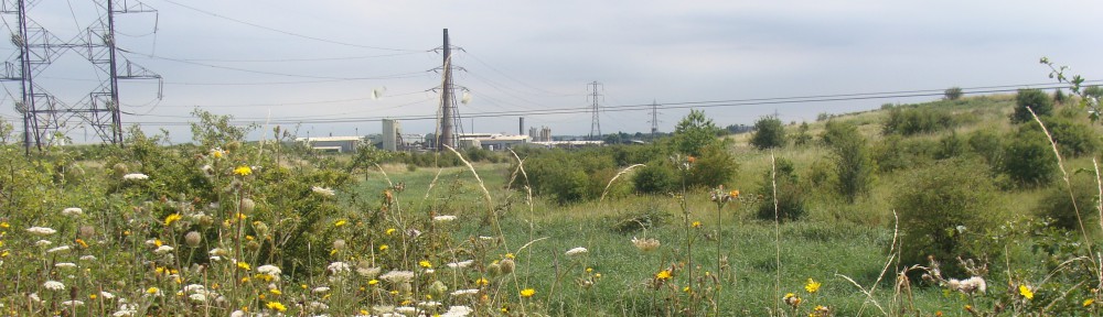 Save Swanscombe Marshes